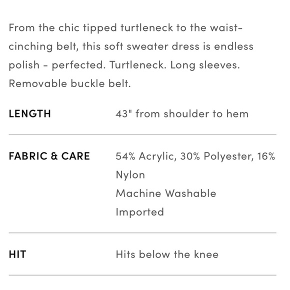 Tipped Belted Turtleneck Sweater Dress - Picture 4 of 4